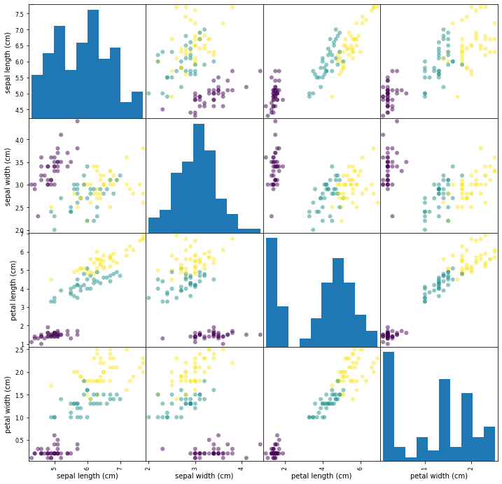 Scatterplot matrix of Iris dataset