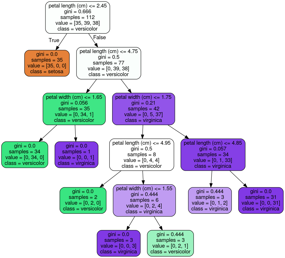 Iris dataset GraphViz output