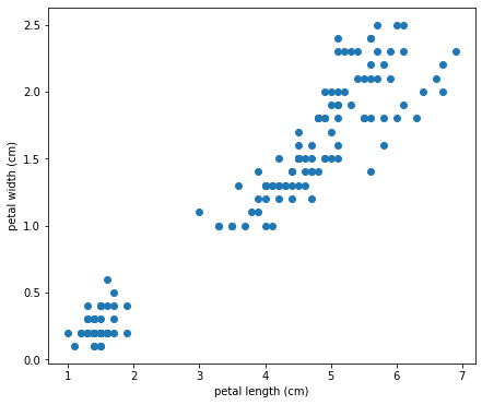 Iris petal length and width scatterplot