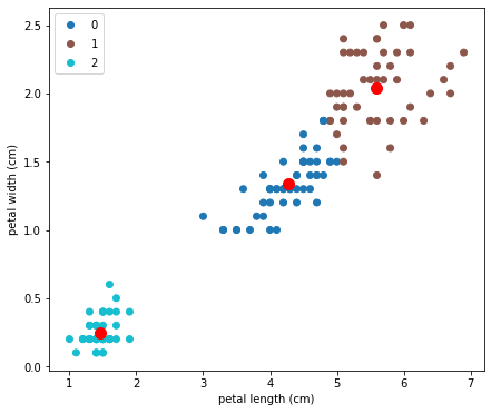 Iris petal length and width scatterplot after clustering